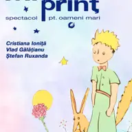 Micul Prinț - spectacol pentru oameni mari