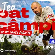 Teo - Bat Campii