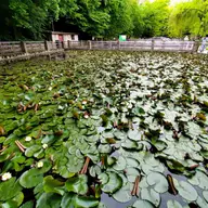 Băi termale aproape de Timișoara. Unde te duci și pentru ce te ajută