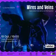 Wires and Veins