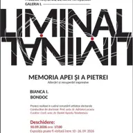 Expozitia Liminal