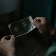 Cum de e totul atât de verde aici?