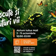 Expozitie de fluturi si albine vii