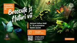 Expozitie de fluturi si albine vii