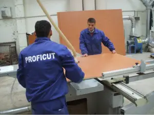 Proficut