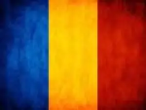Cursuri individuale de limba romana in Timisoara
