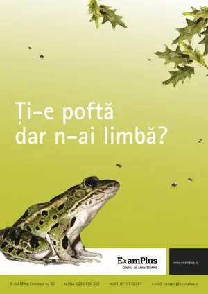 Curs de limba engleza incepatori - ExamPlus