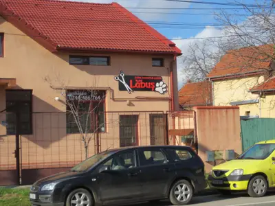 Salon Labus