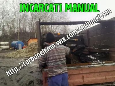 Carbuni lignit