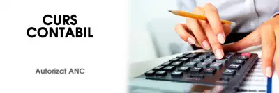 Curs Contabil in Timisoara