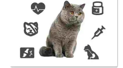 Clinica Veterinara Dr. Bolte