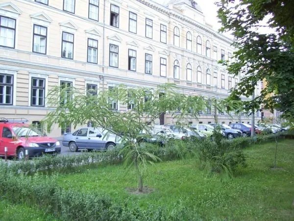 Parcul Civic