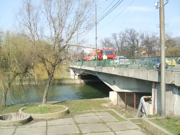 Simulare Parcul Rozelor