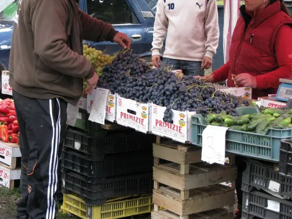 Targul Toamnei 2008