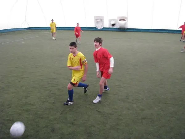 Cupa Arena Viola 12 2008