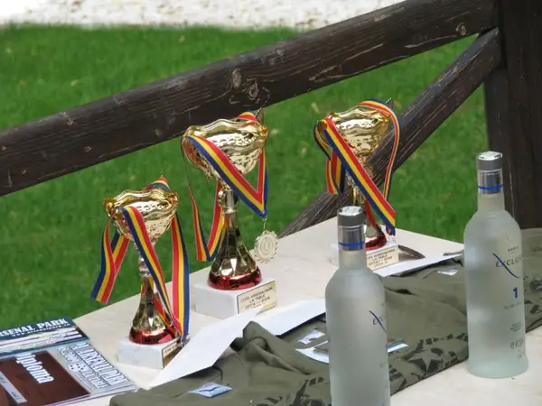 Cupa Arsenal Park la table 2009