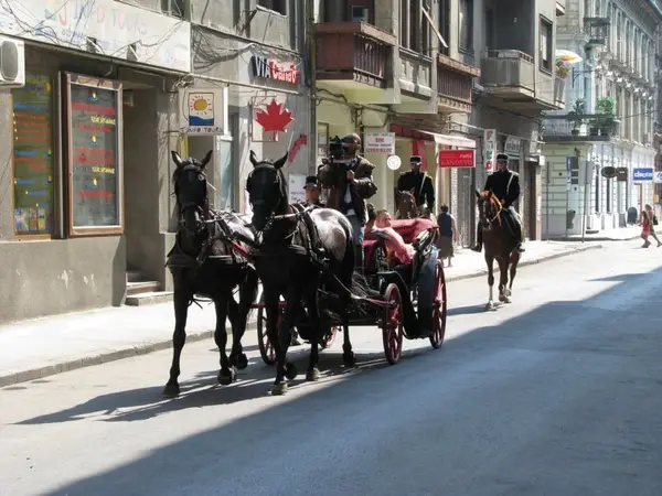 Sarbatoarea Strazii Eugeniu de Savoya
