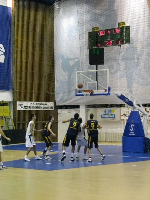 ELBA Timisoara - BCM U Pitesti