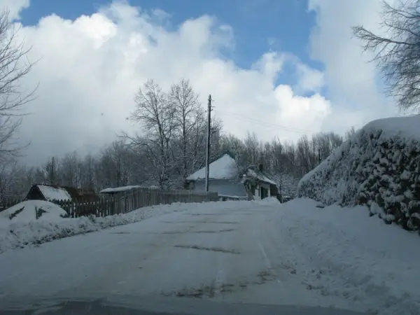 Iarna