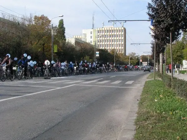 Numaratoarea de Toamna 2010
