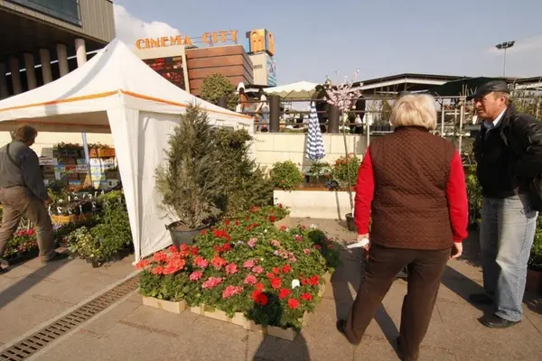 Targul de flori Floris la Iulius Mall 15-17 04 2011