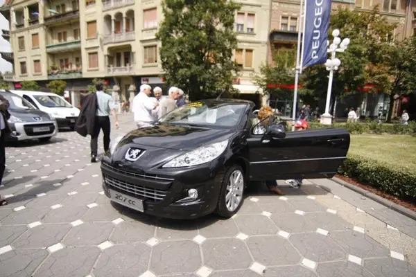 Zilele Leului 2011 in Timisoara