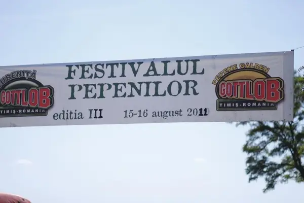 Festivalul Pepenilor editia a III a 2011 la Gottlob
