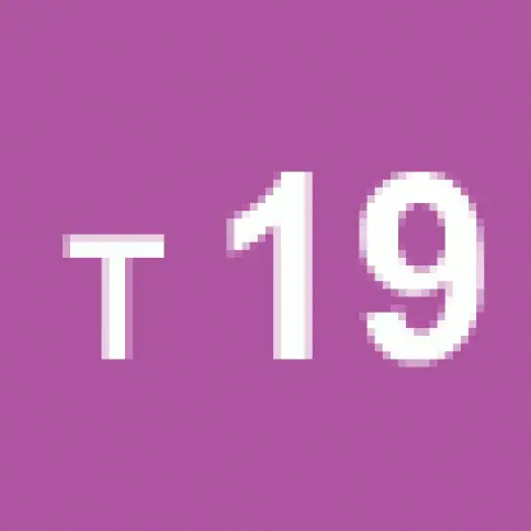 Linia 19