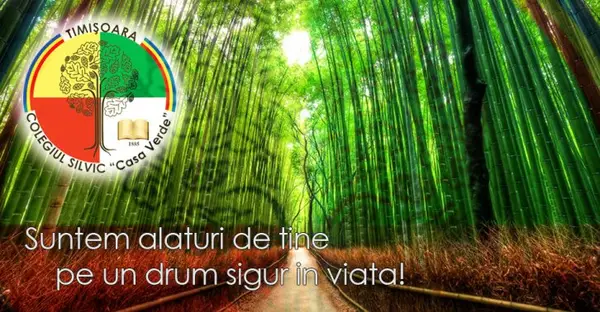 Colegiul Casa Verde