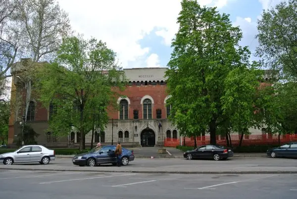 Castelul Huniade, Muzeul Banatului