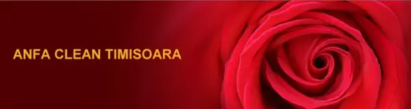Anfa Clean