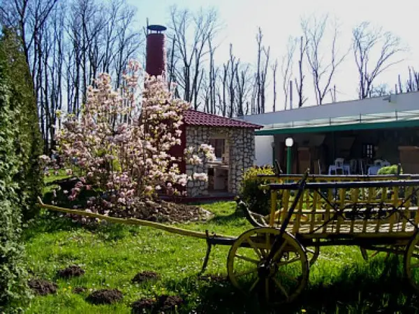 Camping International