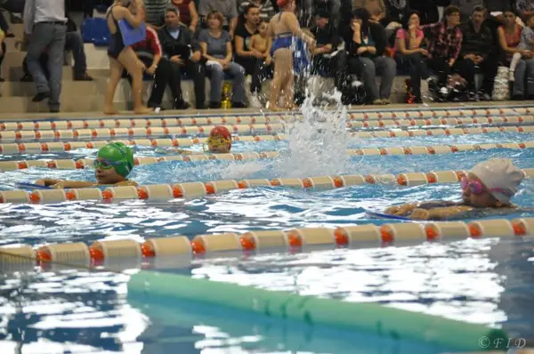 Cupa Arena Aqua Sport 2016