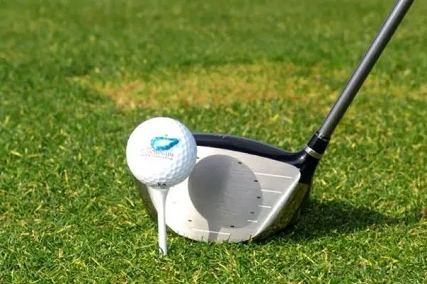 Cupa Werzalit la golf - 16 iunie 2012