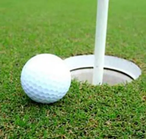 Cupa Perenna la golf - 02 iunie 2012