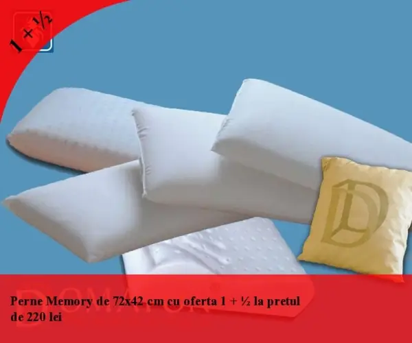 Perne Memory in Timisoara la promotie