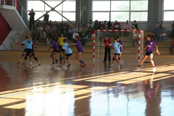 SCM Universitatea Pitesti 31-28 CS Timisoara