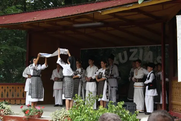 Festivalul Papricasului - Buzias 2012