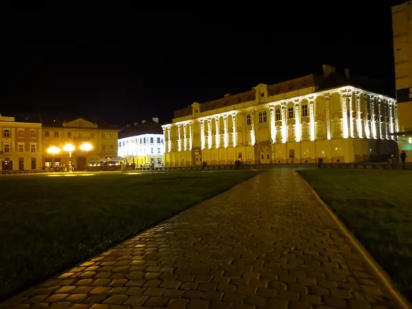 Parteneriat strategic pentru “Timisoara Capitala Europeana Culturala”