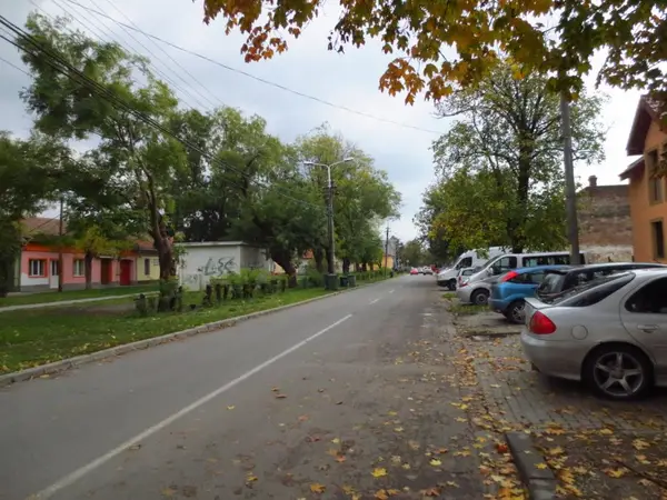 Piata Vasile Adamachi
