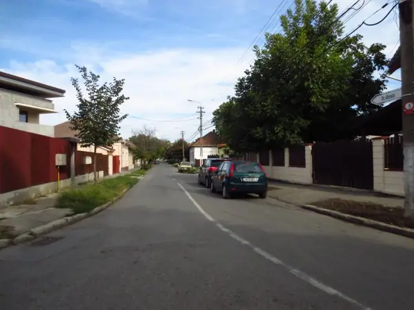 Strada Albinelor