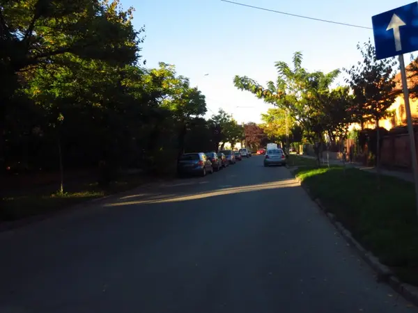 Strada Alexandru Golescu