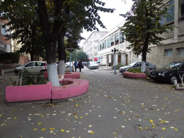 Strada Alexandru Vaida Voievod