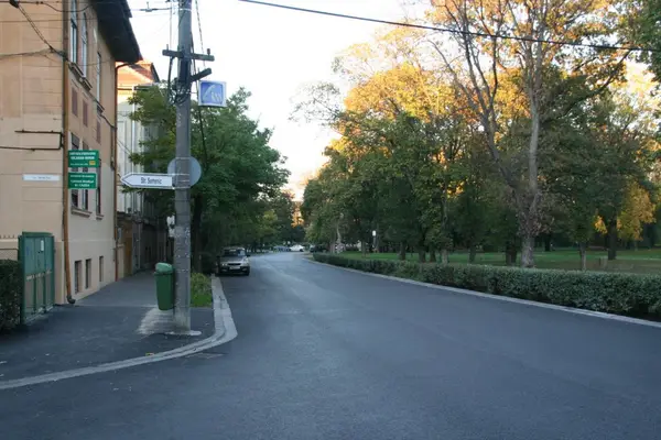 Strada Andrei Mocioni