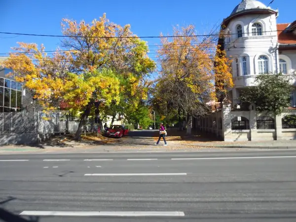 Strada Anghel Saligny