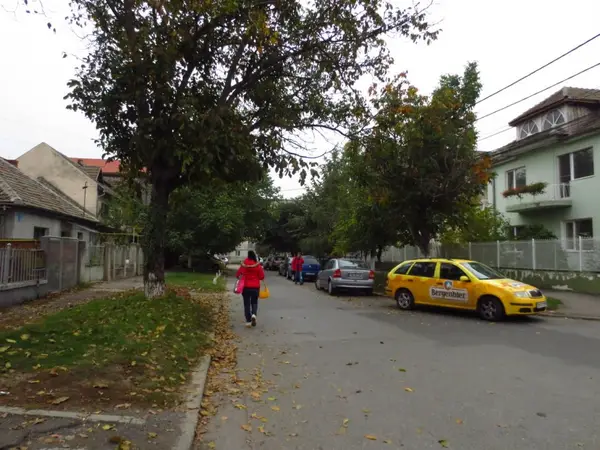 Strada Bradul