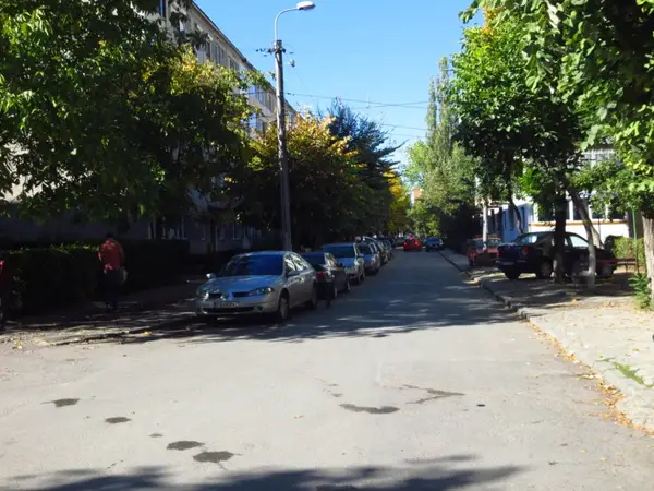 Strada Brandusei