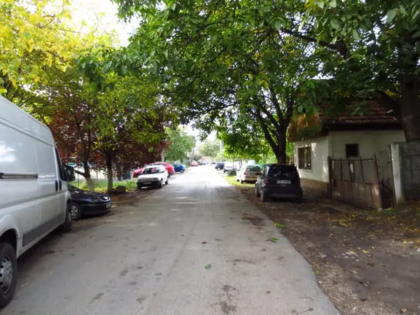 Strada Brazilor