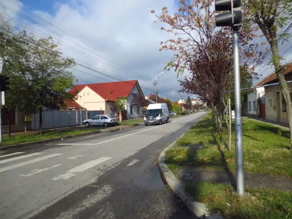 Strada Bujorilor