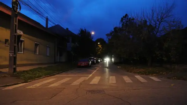 Strada Caprioarei